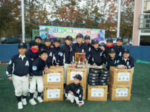 안동시리틀야구단, 2013 대구. 경북 리틀야구대회 최강전 우승