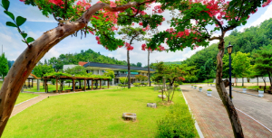 안동민속박물관 훈증소독 실시 및 휴관 안내
