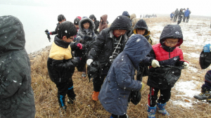 철새먹이주기 체험학습