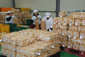 2대째 전통장맛과 향토지키는 ‘고령메주’를 찾아