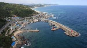 영덕 쪽빛파도의 길