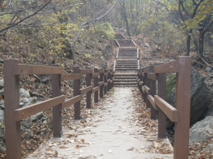 걷기 편하고 안전한 앞산 숲길 걸어보세요!