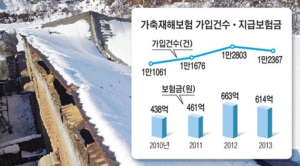 영주, 가축재해보험 드세요