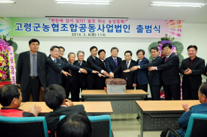 고령군농협조합공동사업법인 출범식 가져