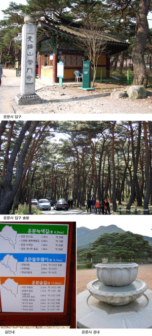 청도 호거산(虎距山) 운문사(雲門寺) 특집
