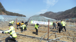 폭설피해농가 시설복구 일손돕기