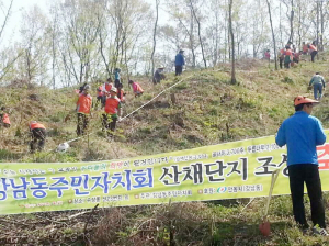 안동 강남동 주민자치회, 산채단지 조성 