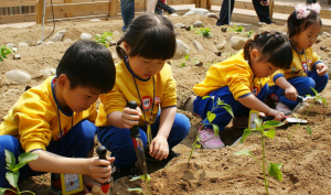 롯데百 상인점, 친환경 텃밭 가꿔요