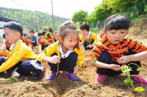 쓰레기 더미… 꽃동산 됐어요