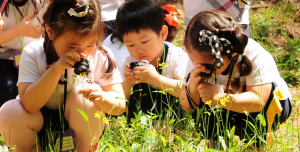 2014 상상과 창의마당 '와글와글 상상놀이터' 운영