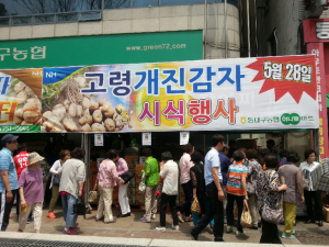 고령감자 대구 주부 소비자 인기 대박 