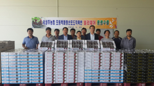 상주 델라웨어포도 국내 처음 해외 수출