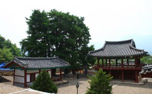 경상도·전라도로 인문학 여행 떠나요!