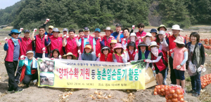 수성구청 물망이봉사단 양파수확 일손돕기참여