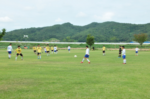 고령군연합회장기 축구대회 개최