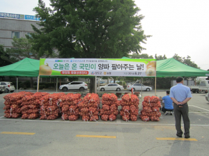 청도군, 햇양파 소비촉진 직거래장터 개최