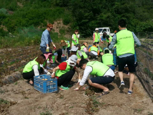 나눔봉사단의 훈훈한 농촌 여름봉사