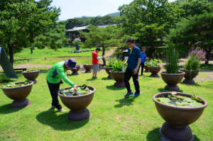 수련 향기 가득한 도동서원