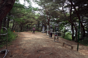 예천읍 봉덕산 등산로 새롭게 단장