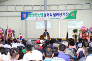 동안동농협 안동사과 경매식 집하장 개장