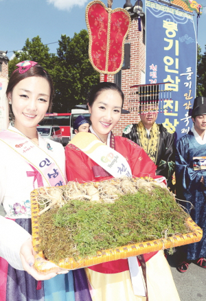 임금님 수라상에 올린  영주 풍기인삼, 호주 첫 수출