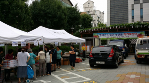 지품면 복숭아 서울 긴급 특판 행사