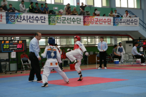 성주군, 경북도지사기 태권도대회 개최