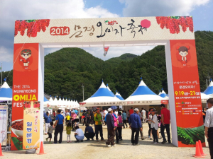 2014 문경오미자축제 폐막