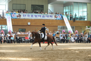 영천시, 2014 영천대마축전 개최