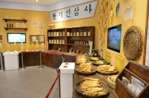 영주시 삼(蔘)! 산신과 만나다