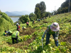 달성군 협의회, 자연보호활동