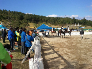 영천대마기 전국종합마술대회 폐막