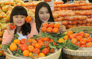 가을별미 청도 홍시 드세요
