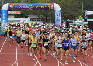 청도반시전국마라톤대회 성황