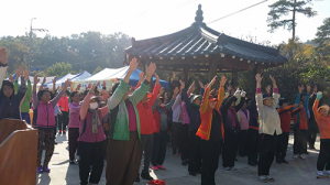 성주 대가면 건강새마을 축제 성황리 개최