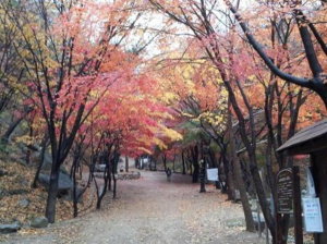 대구의 이름을 드높이는 명산 ‘팔공산’