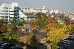 섬유산업을 주도적으로 이끌어 지역경제를 살찌우는 대구 서구