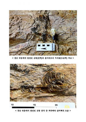 경남서 육식공룡 화석 첫 발견