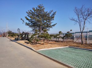 문경 ‘점촌역 철로변’ 도시숲 새단장