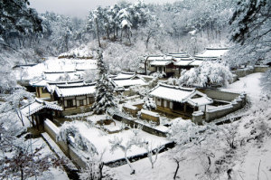안동 도산서원, 병산서원 세계유산 등재 추진