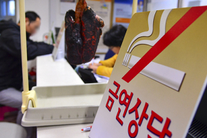 경북 금연 열풍 전국 최고 