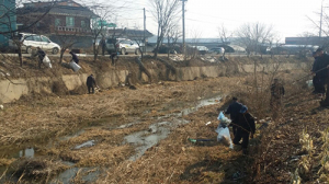 성주군 선남면 도흥3리, 대대적인 정화활동 
