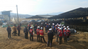 구미, 산림청과 긴밀협조해소나무 재선충병 총력 방제