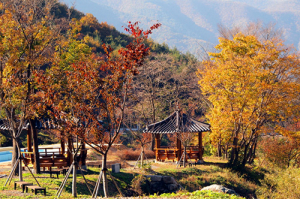 포항시, 산림문화·휴양시설 조성 박차