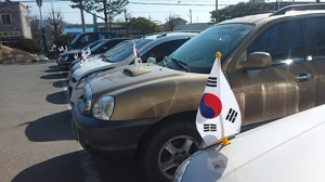 성주, 3.1절 태극기 달기 앞장
