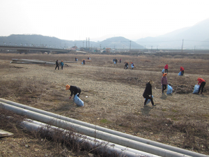 청도 이서면 부녀동우회, 새봄맞이 청도천 이서교 일대 환경정화 활동 