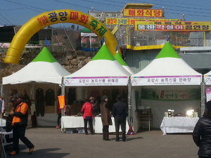 포항시 ‘광양매화축제’ 농특산물 홍보매장 운영