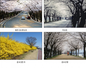 대구시 “도심 속 봄기운 즐기세요”