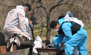 “훈민정음 해례본 상주본 불에 탔을 것”