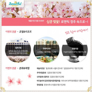 심쿵 벚꽃! 로맨틱 경주 속으로